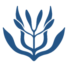 Kendi Gerçeğini Bul